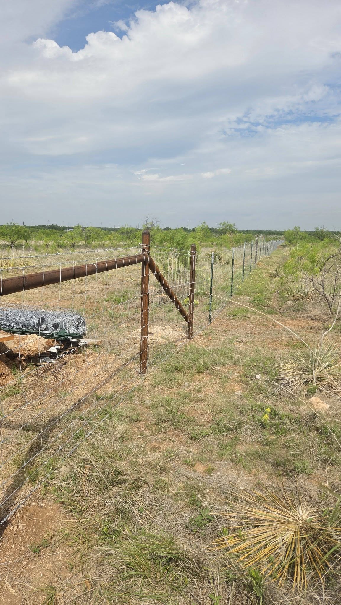Metal roof panels on a Texas structure