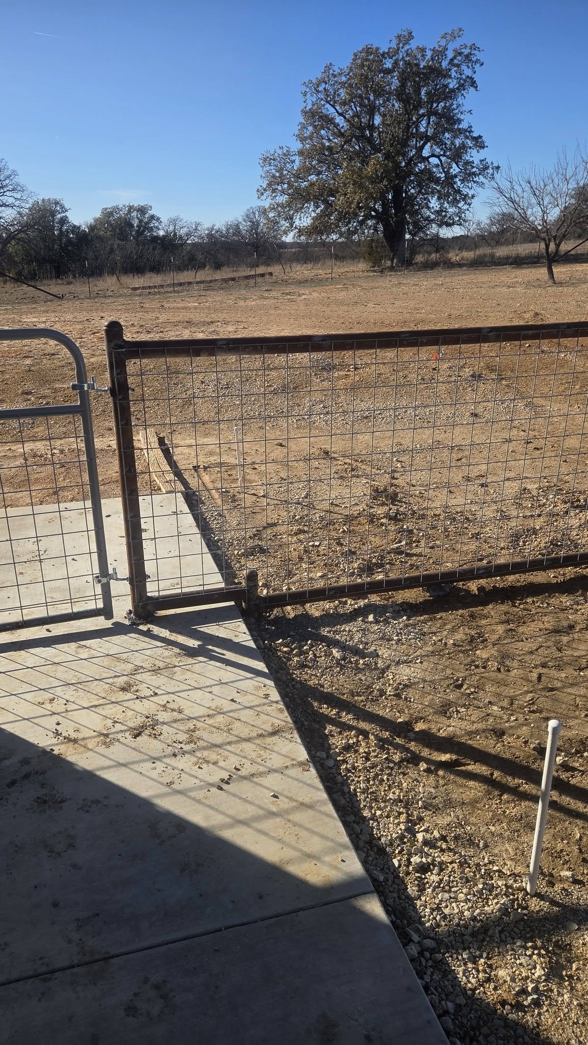 Pipe and steel-post ranch fencing across a Texas pasture
