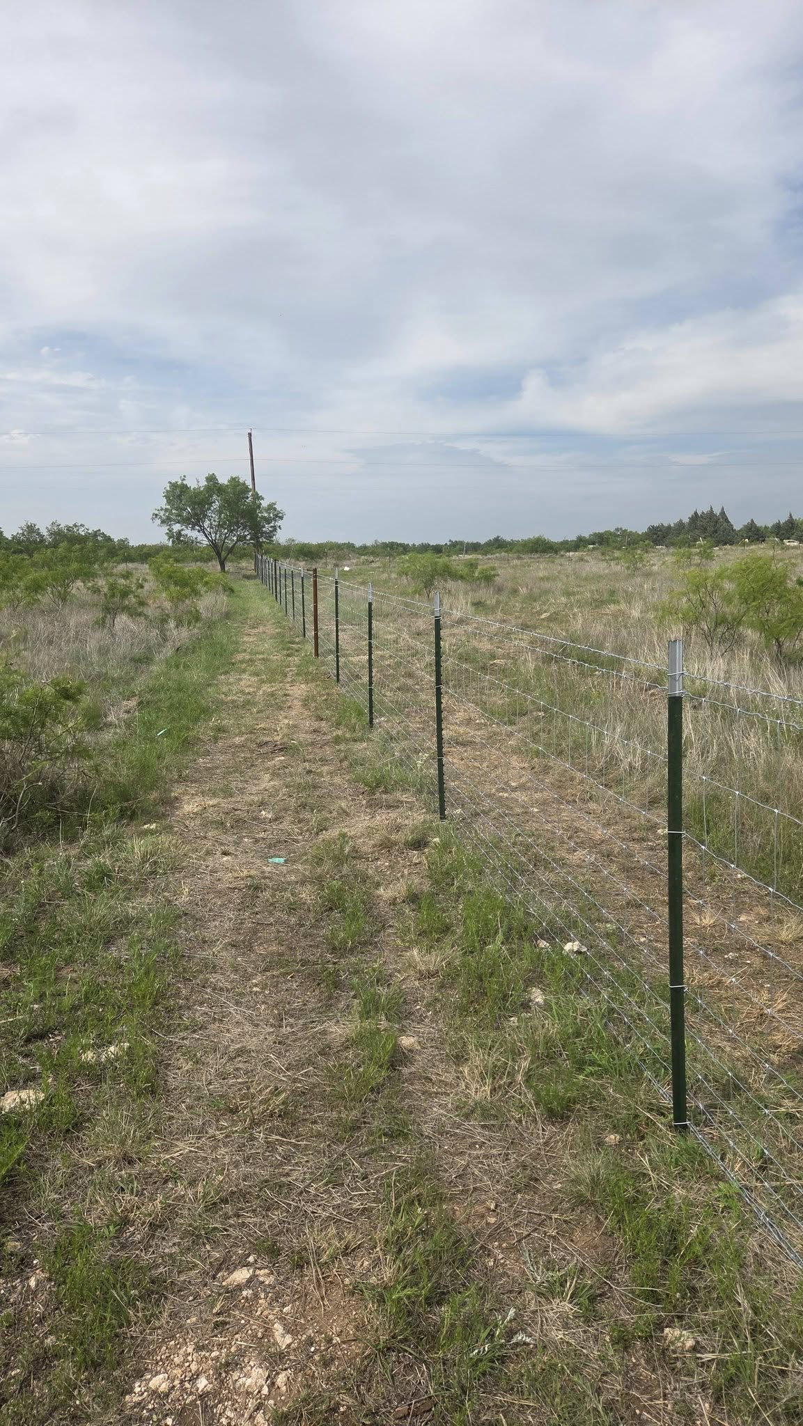 Decorative iron gate fabricated by Lonestar Fencing & Welding in Texas