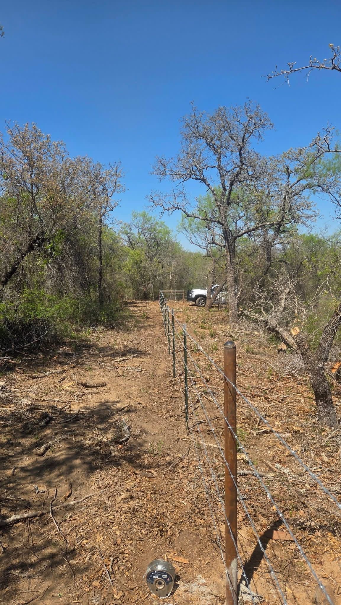 New barbed-wire fence line with steel T-posts across wooded Texas acreage
