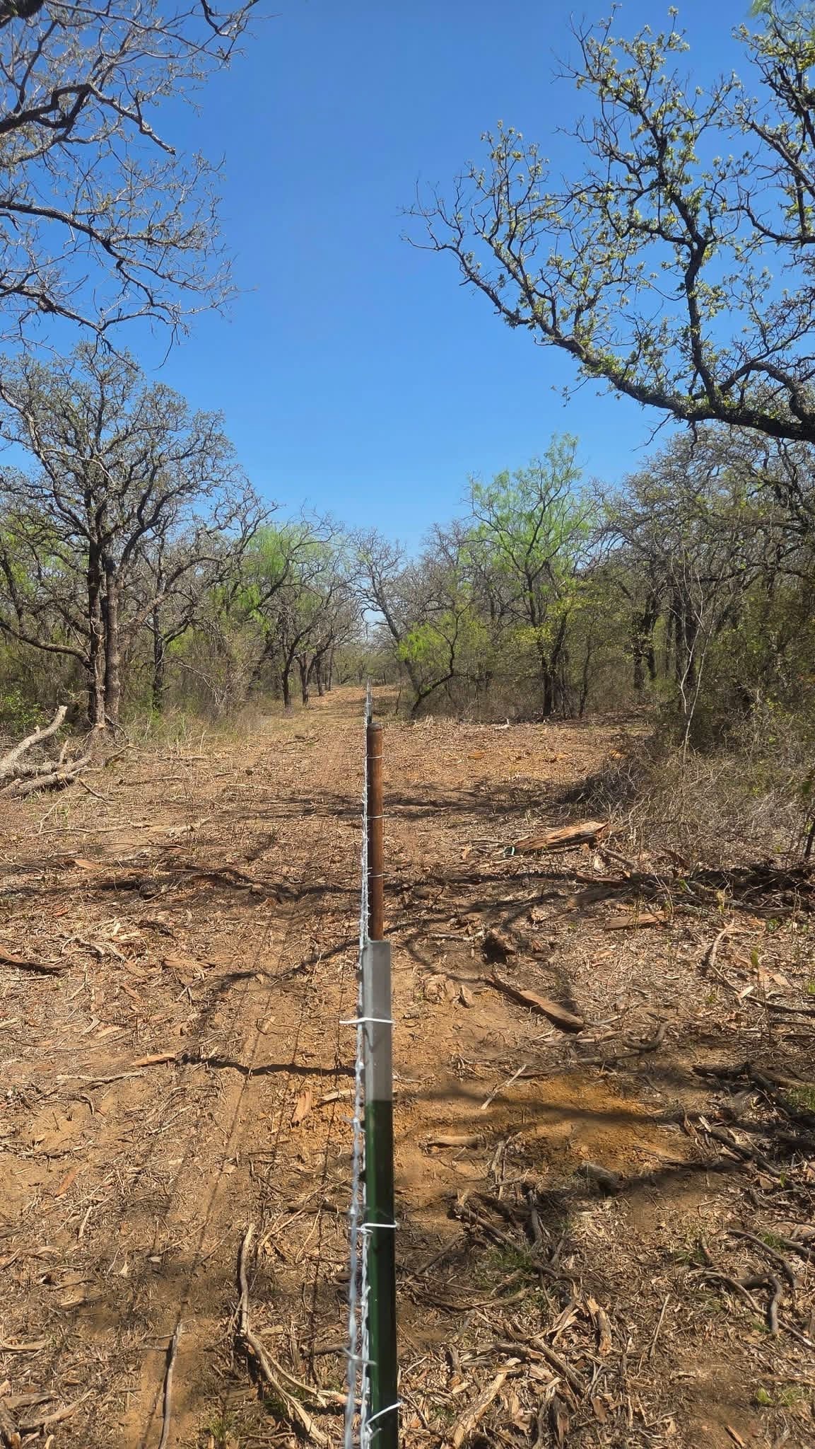 Straight barbed-wire boundary fence installed through Texas ranch woods