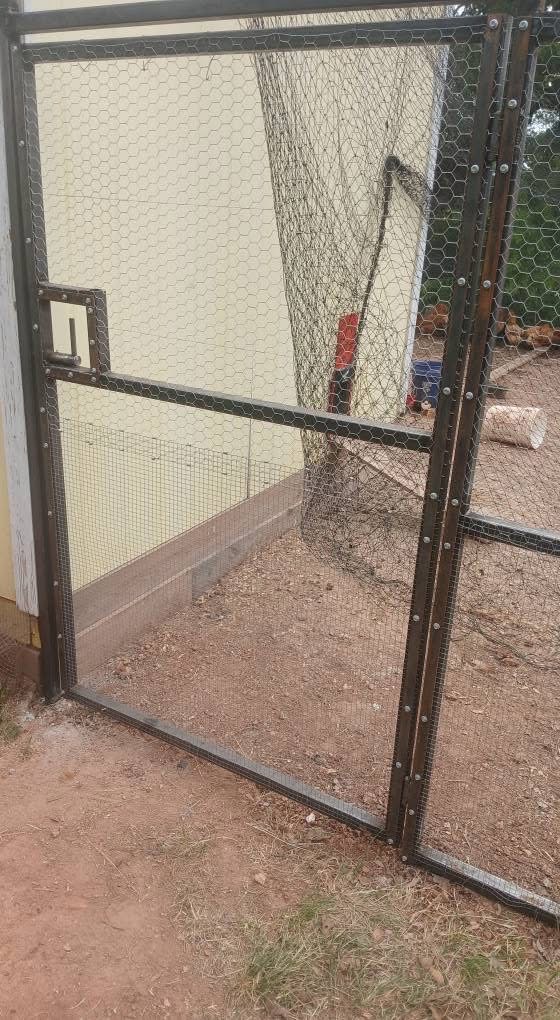 Welded steel chicken-coop gate with secure poultry wire and latch on a Texas property